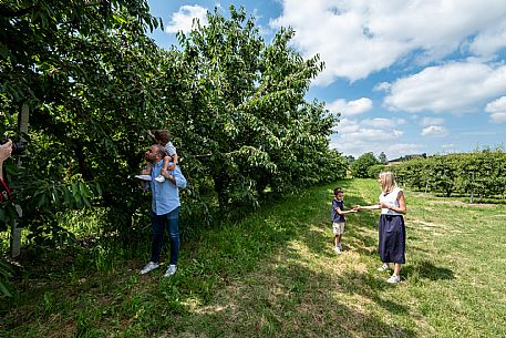 Family Experience - Picking up in the Orchards